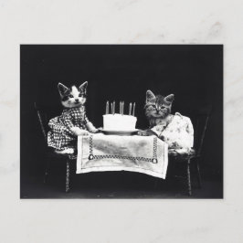 Postal Feliz cumpleaños a Meow | Kitties con pastel