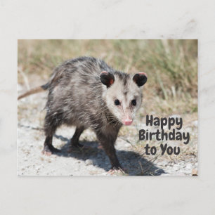 Postal Feliz Cumpleaños a ti lindo opossum andante 