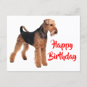 Postal Feliz cumpleaños Airedale Terrier Perro de Cachorr
