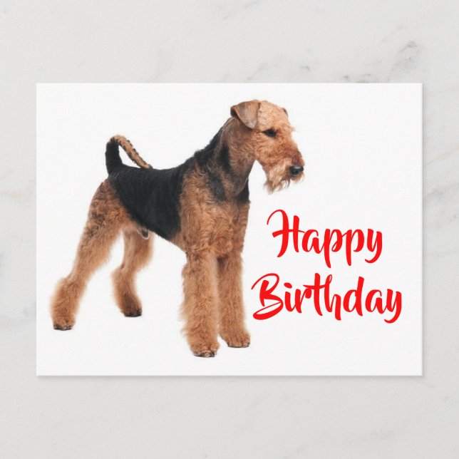 Postal Feliz cumpleaños Airedale Terrier Perro de Cachorr (Anverso)