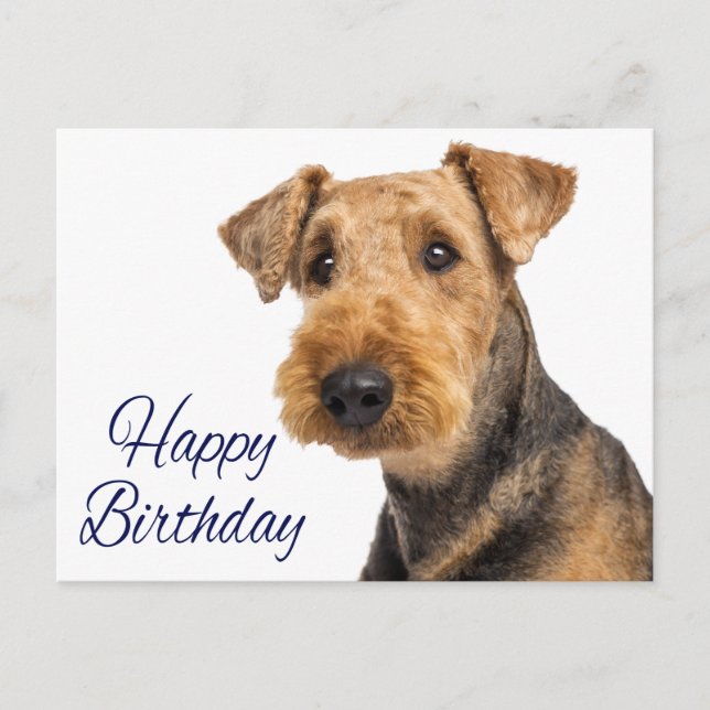 Postal Feliz cumpleaños Airedale Terrier Puppy Dog Blue (Anverso)