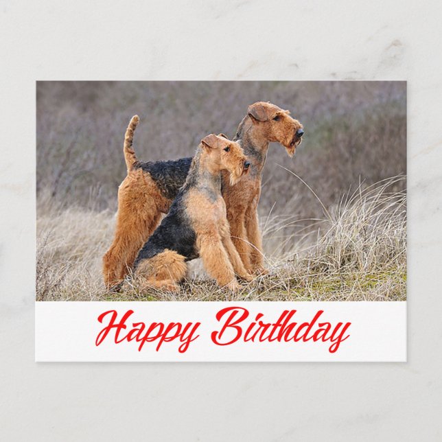 Postal Feliz cumpleaños Airedale Terrier Puppy Dog Red (Anverso)