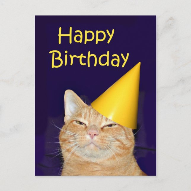 Postal Feliz cumpleaños al gato feliz (Anverso)