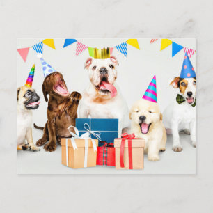 Postal Feliz Cumpleaños Animales de Fiesta Adorables