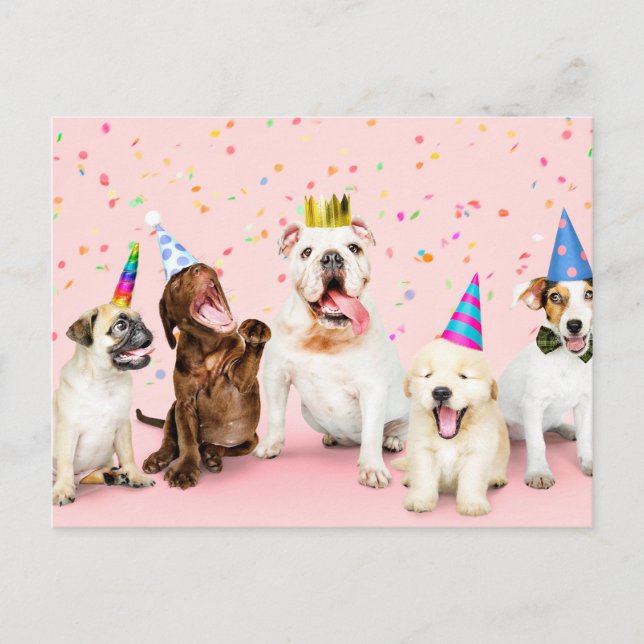 Postal Feliz Cumpleaños Animales De Fiesta Lindos (Anverso)