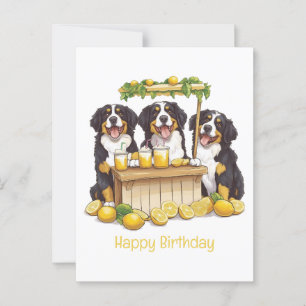 Postal Feliz Cumpleaños Bernese Mountain Dog Puesto de Li