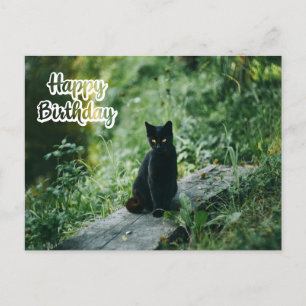 Postal Feliz cumpleaños Black Cat Outdoors 