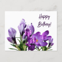 Feliz cumpleaños bonito croco púrpura flores flora