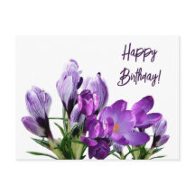 Feliz cumpleaños bonito croco púrpura flores flora