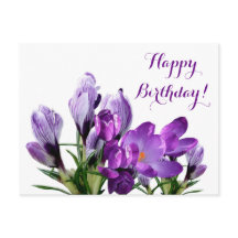 Feliz cumpleaños bonito croco púrpura flores flora