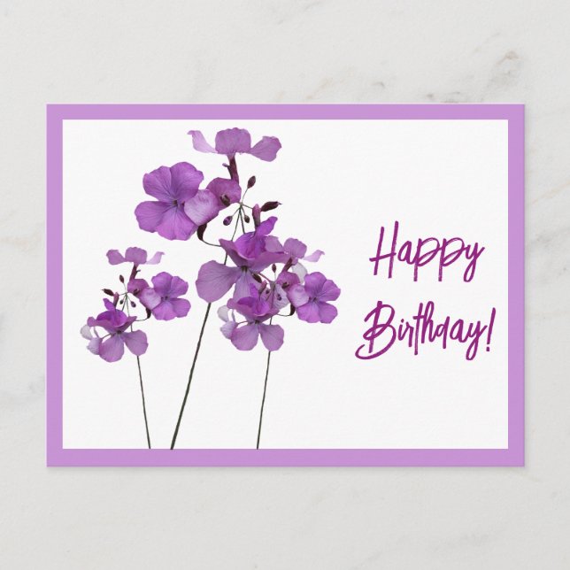 Postal Feliz cumpleaños bonito morado flores silvestres f (Anverso)