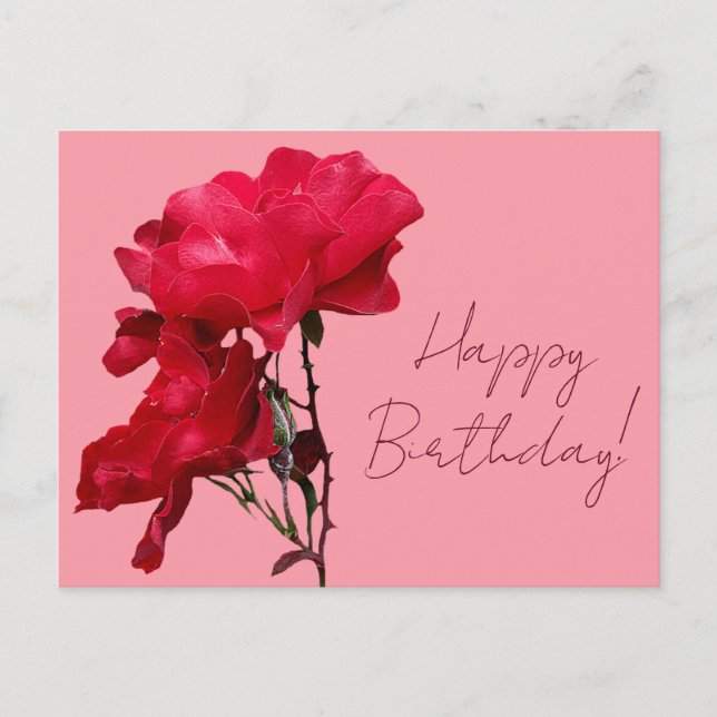 Postal Feliz cumpleaños bonito rosa rojo colorido floral (Anverso)