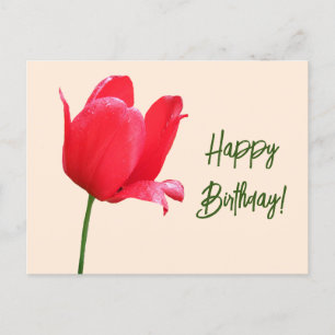 Postal Feliz cumpleaños bonito tulipán rojo floral simple