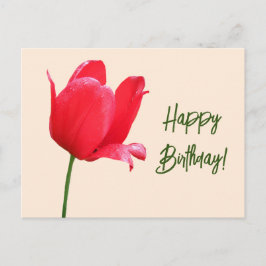 Postal Feliz cumpleaños bonito tulipán rojo floral simple