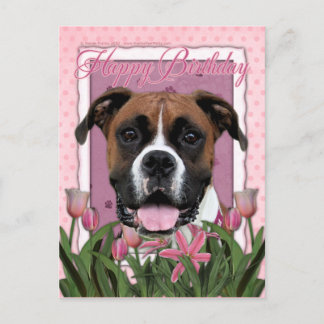 Postal Feliz cumpleaños - Boxer - Vindy