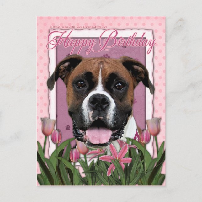 Postal Feliz cumpleaños - Boxer - Vindy (Anverso)