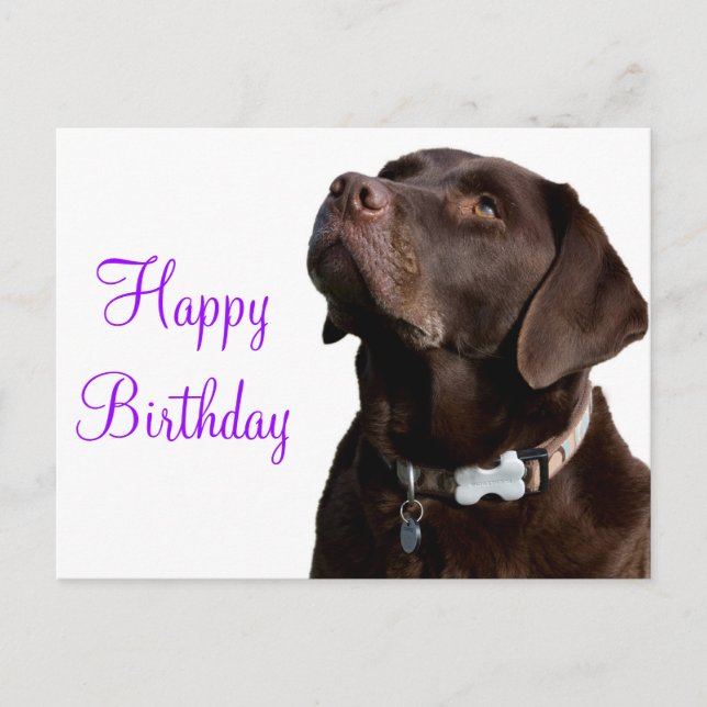 Postal Felíz cumpleaños Brown Labrador perro cachorro (Anverso)