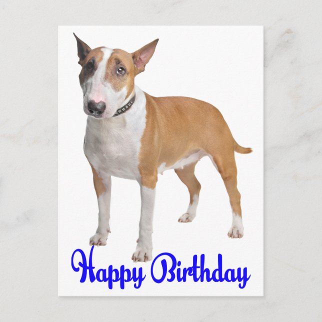 Postal Feliz cumpleaños Bull Terrier Perro Cachorro (Anverso)