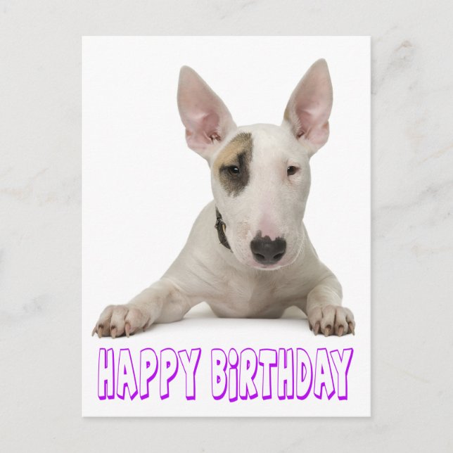 Postal Feliz cumpleaños Bull Terrier Perro Cachorro (Anverso)
