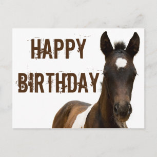 Postal Feliz Cumpleaños Caballo de Colt