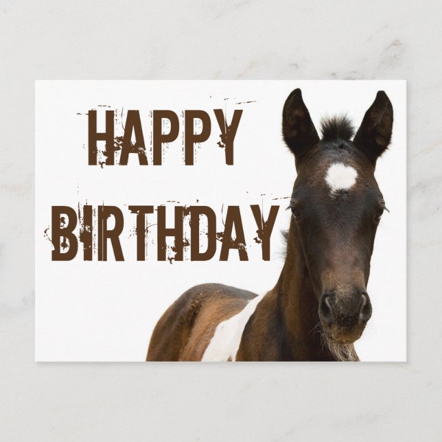 Postal Feliz Cumpleaños Caballo de Colt (Anverso)