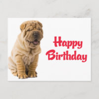 Feliz Cumpleaños Cachorro Perro Shar Pei Chino Tar
