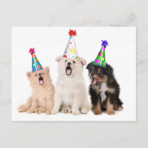Postal Feliz cumpleaños cachorros