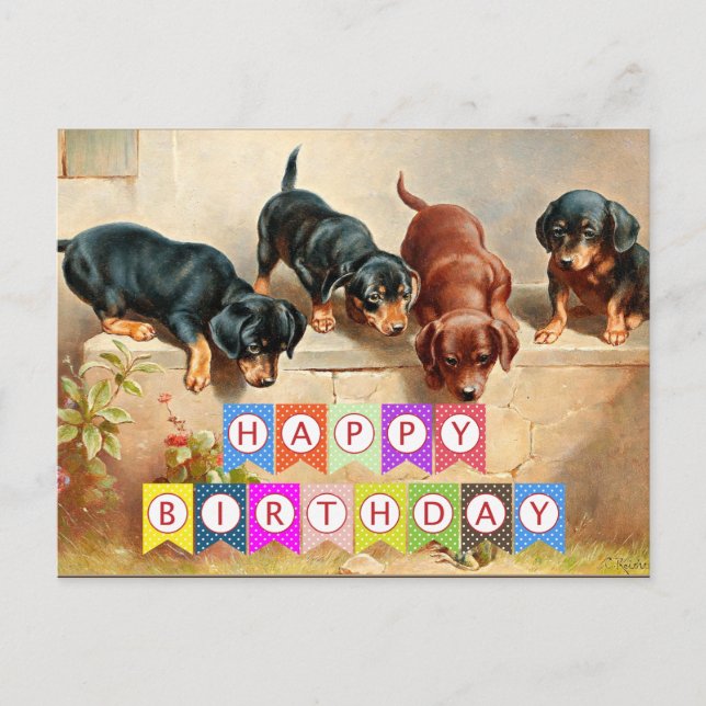 Postal Feliz cumpleaños, cachorros de Dachshund, (Anverso)