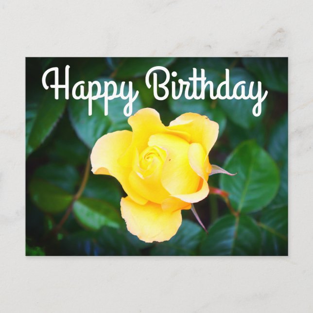 Postal Feliz Cumpleaños Caminando sobre la Rosa del Sol # (Anverso)