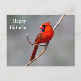 Postal Feliz cumpleaños Cardinal Postcard