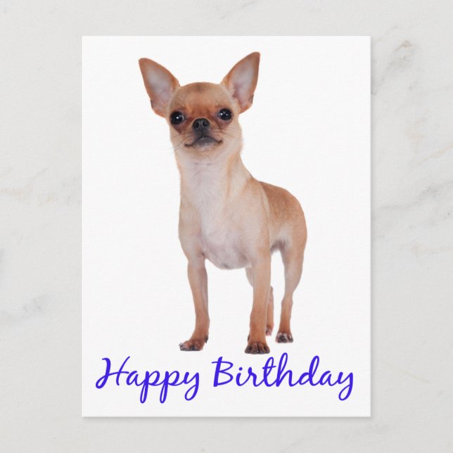 Postal Feliz cumpleaños Chihuahua Puppy Blue - Verso (Anverso)