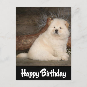 Postal Feliz cumpleaños Chow Chow Puppy Dog Black Postcar