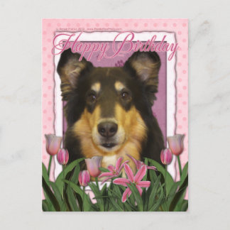 Postal Feliz cumpleaños - Collie - Caroline