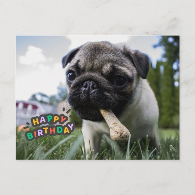 Postal Feliz cumpleaños con una cachorra con el hueso (Anverso)