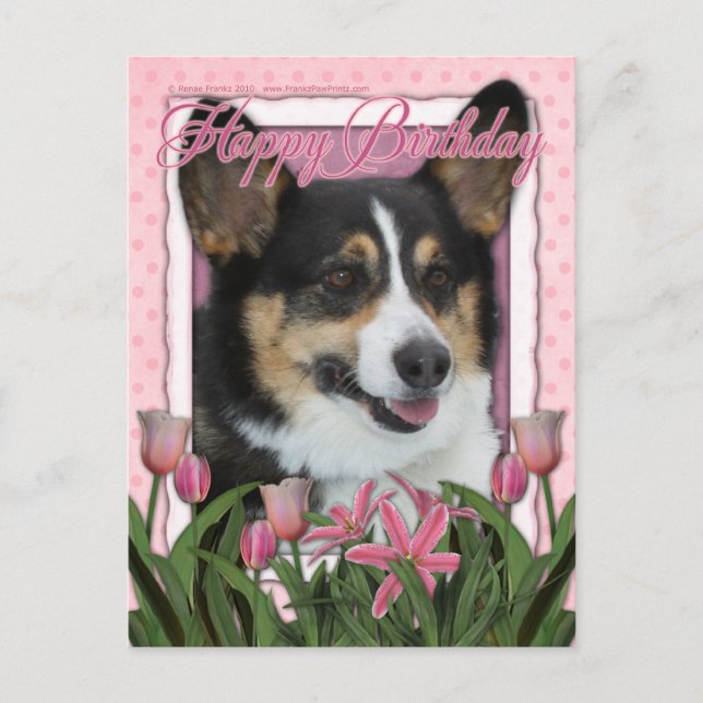 Postal Feliz cumpleaños - Corgi (Anverso)
