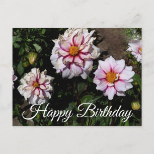 Postal Feliz Cumpleaños Dahlia Borde de Alegría #1 Tarjet