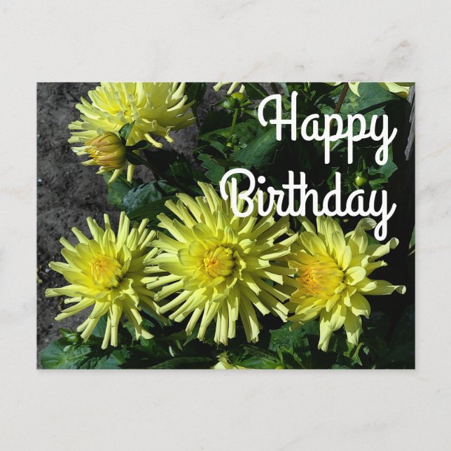 Postal Feliz cumpleaños, Dahlia Lakeview brillante #1 pos (Anverso)