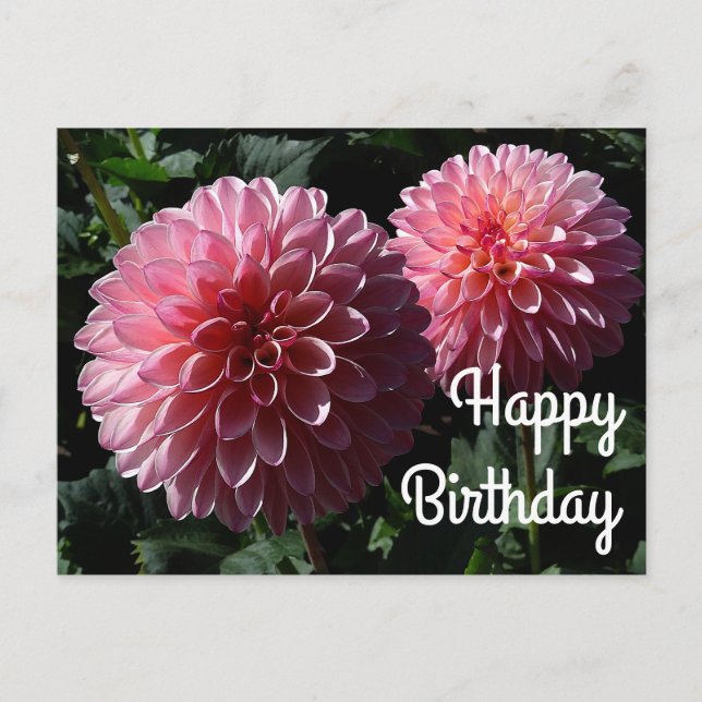 Postal Feliz cumpleaños Dahlia Valley Porcupine #1 Tarjet (Anverso)