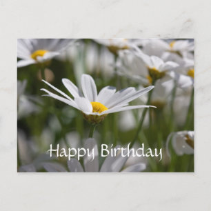 Postal Feliz cumpleaños, Daisy Postcard