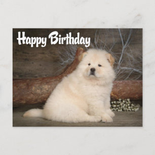 Postal feliz cumpleaños de Chow Chow Puppy Dog