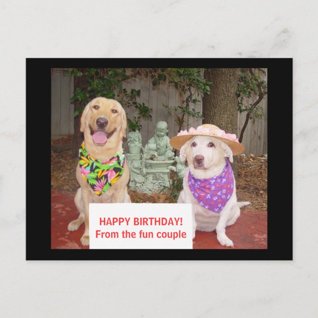 Postal ¡FELIZ CUMPLEAÑOS! De los pares de la diversión (Anverso)