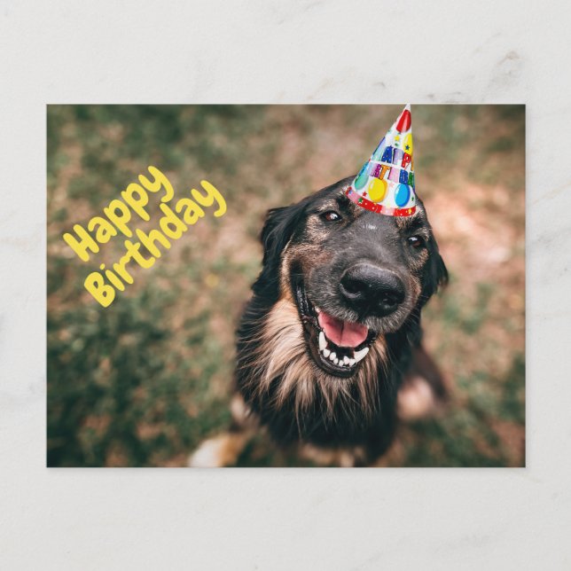 Postal Feliz cumpleaños de perro gracioso en Gorra Fiesta (Anverso)