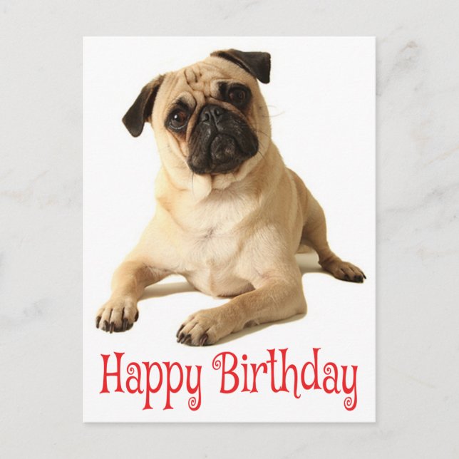 Postal feliz cumpleaños de pug cachorro perro (Anverso)