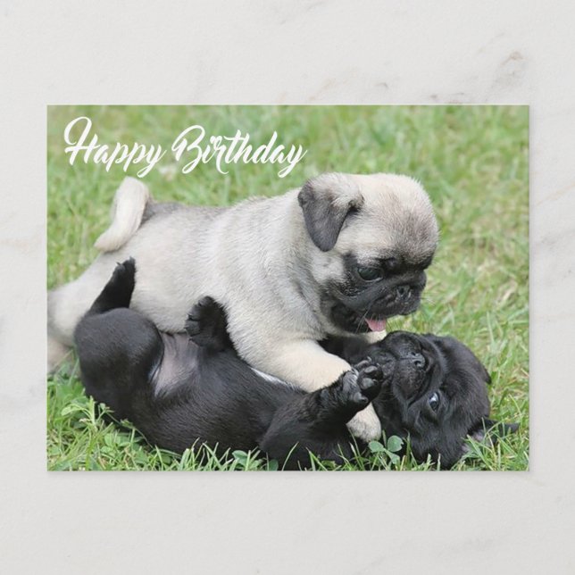 Postal feliz cumpleaños de pug cachorro perro (Anverso)