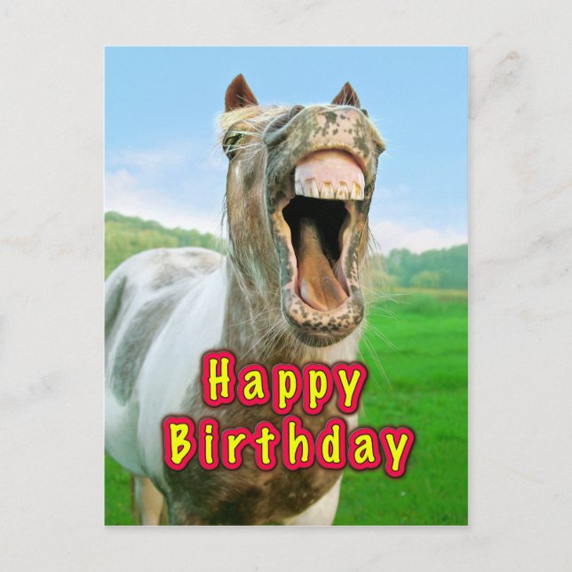Postal Feliz cumpleaños desde el feliz caballo (Anverso)