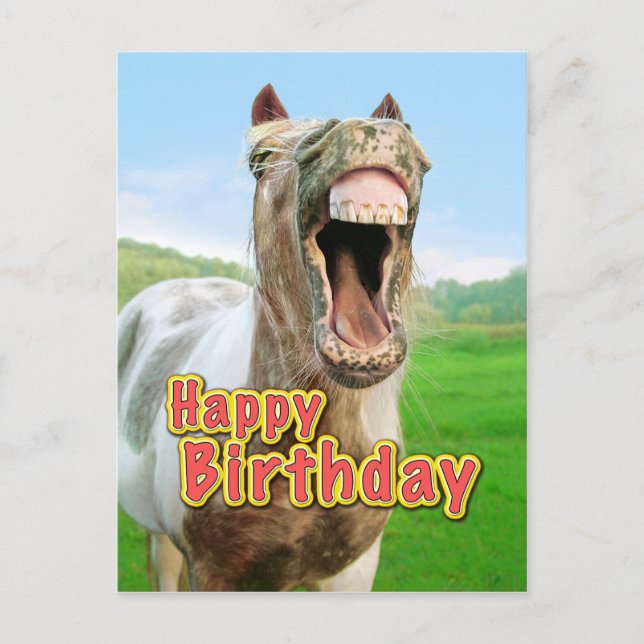 Postal Feliz cumpleaños desde el feliz caballo (Anverso)