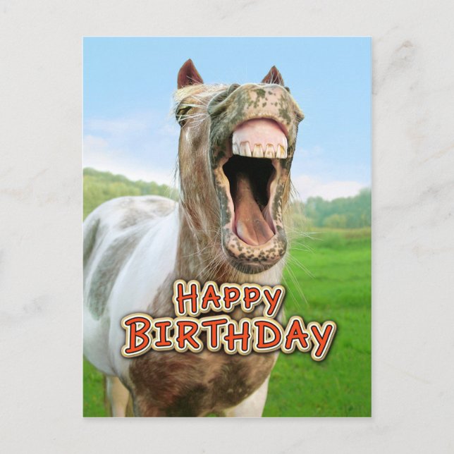 Postal Feliz cumpleaños desde el feliz caballo (Anverso)
