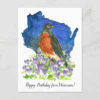 Feliz Cumpleaños desde Wisconsin Robin Violets