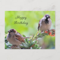 Feliz Cumpleaños Dos Pájaros Gorrión Lindos