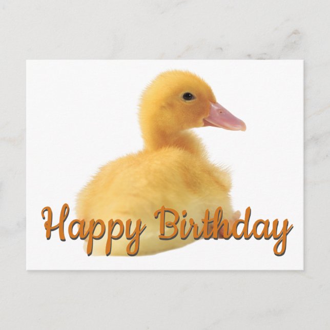Postal Feliz cumpleaños Duckling (Anverso)